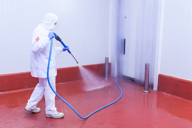 Best Restaurant Pressure Washing  in Gonzales, TX